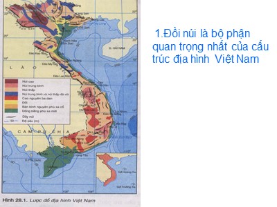 Bài giảng Địa lí Lớp 8 - Bài 28: Đặc điểm địa hình Việt Nam