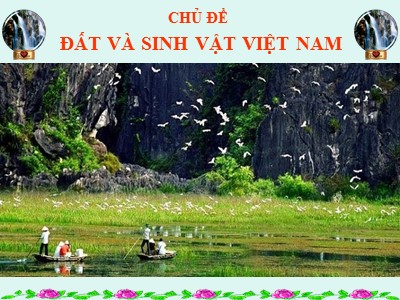 Bài giảng Địa lí Lớp 8 - Bài 38: Bảo vệ tài nguyên sinh vật Việt Nam