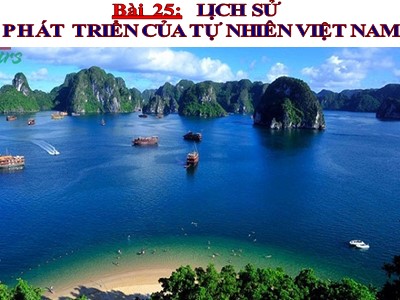 Bài giảng Địa lí Lớp 8 - Tiết 28, Bài 25: Lịch sử phát triển của tự nhiên Việt Nam