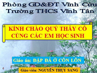 Bài giảng môn Ngữ văn Lớp 8 - Tiết 58: Đọc hiểu Đập đá ở Côn Lôn - Nguyễn Thụy Sang