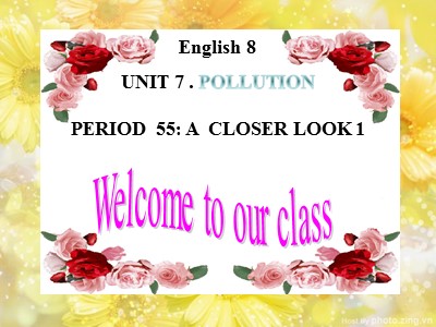 Bài giảng môn Tiếng anh Khối 8 - Unit 7, Lesson 2: A Closer Look 1