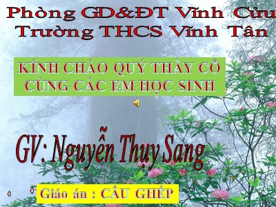 Bài giảng Ngữ văn Lớp 8 - Tiết 43, Bài 11: Tiếng việt Câu ghép - Nguyễn Thụy Sang