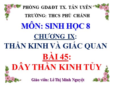 Bài giảng Sinh học Lớp 8 - Bài 45: Dây thần kinh tủy - Lê Thị Minh Nguyệt