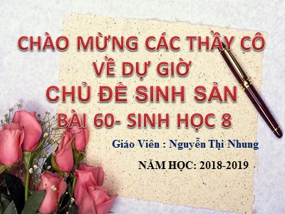 Bài giảng Sinh học Lớp 8 - Bài 60: Cơ quan sinh dục nam - Năm học 2018-2019 - Nguyễn Thị Nhung