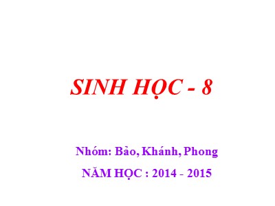 Bài giảng Sinh học Lớp 8 - Tiết 10, Bài 10: Hoạt động của cơ - Năm học 2014-2015 - Nguyễn Bá Bình
