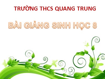 Bài giảng Sinh học Lớp 8 - Tiết 17, Bài 17: Tim và mạch máu - Trường THCS Quang Trung