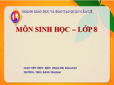 Bài giảng Sinh học Lớp 8 - Tiết 26, Bài 25: Tiêu hóa ở khoang miệng - Phạm Thị Kim Loan