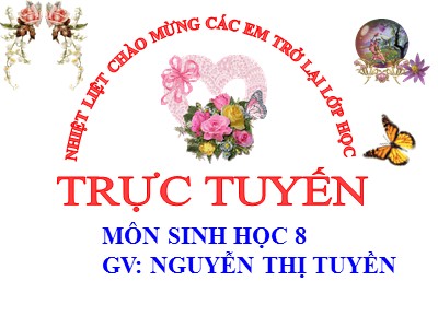 Bài giảng Sinh học Lớp 8 - Tiết 45, Bài 43: Giới thiệu chung hệ thần kinh - Nguyễn Thị Tuyền