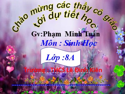 Bài giảng Sinh học Lớp 8 - Tiết 47, Bài 45: Dây thần kinh tủy - Phạm Minh Tuấn