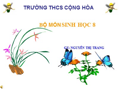 Bài giảng Sinh học Lớp 8 - Tiết 47, Bài 47: Đại não - Nguyễn Thị Trang