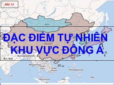 Bài giảng môn Địa lý Lớp 8 - Bài 12: Đặc điểm tự nhiên khu vực Đông Á