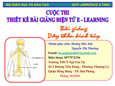 Bài giảng Sinh học Lớp 8 - Tiết 47, Bài 45: Dây thần kinh tủy - Trường THCS Ngô Gia Tự