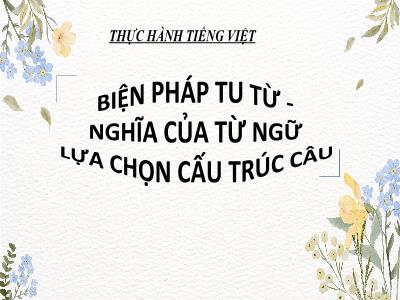 Bài giảng Ngữ văn Lớp 8 - Tiết 89: Thực hành tiếng việt Biện pháp tu từ. Nghĩa của từ ngữ lựa chọn cấu trúc câu