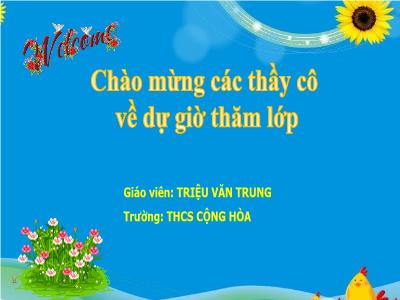 Bài giảng Toán Lớp 8 - Bài 21: Phân thức đại số - Triệu Văn Trung