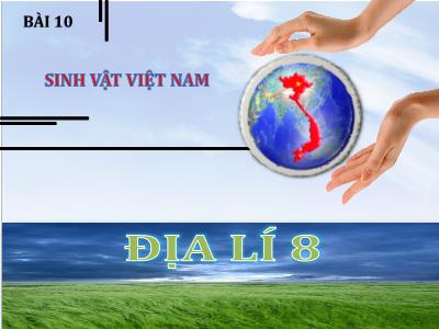 Bài giảng Địa lí 8 (Kết nối tri thức với cuộc sống) - Bài 10: Sinh vật Việt Nam
