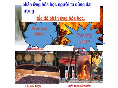 Bài giảng Khoa học tự nhiên 8 (Hóa học) Sách Kết nối tri thức - Bài 7: Tốc độ phản ứng và chất xúc tác (Tiết 1) - Trần Thị Liên