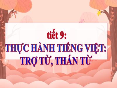 Bài giảng Ngữ văn 8 - Tiết 9: Thực hành tiếng Việt: Trợ từ, thán từ - Trường Tiểu học Xương Giang (Cánh diều)