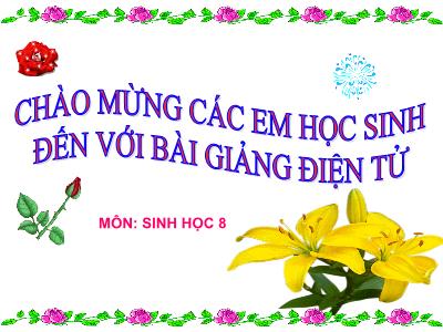 Bài giảng Sinh học 8 - Bài 1: Bài mở đầu - Trường Tiểu học Xương Giang
