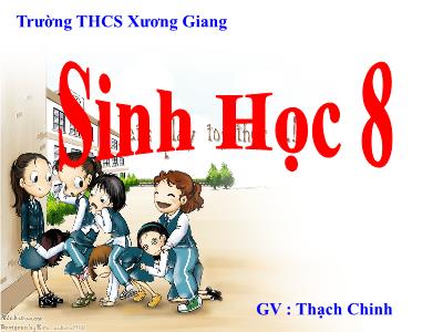 Bài giảng Sinh học 8 - Bài 6: Phản xạ - Trường Tiểu học Xương Giang