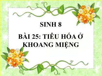 Bài giảng Sinh học 8 - Tiết 17, Bài 25: Tiêu hóa ở khoang miệng - Trường Tiểu học Xương Giang