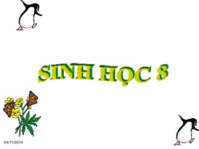 Bài giảng Sinh học 8 - Tiết 23, Bài 21: Hoạt động hô hấp - Trường Tiểu học Xương Giang