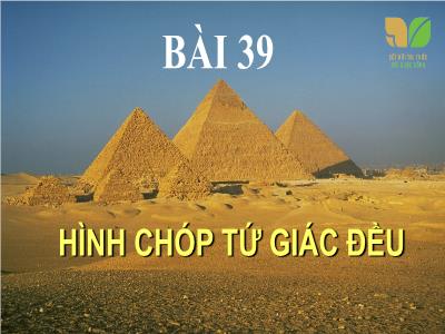 Bài giảng Toán 8 (Kết nối tri thức với cuộc sống) - Bài 39: Hình chóp tứ giác đều